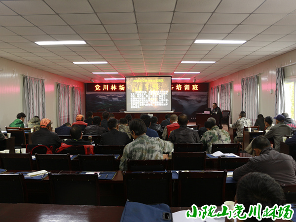 ������쾫���ڿ�