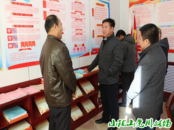 检查党建和党风廉政建设资料